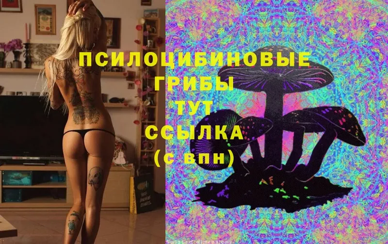 гидра рабочий сайт  Полевской  Псилоцибиновые грибы Cubensis 